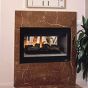 MULTI-VIEW DIRECT-VENT GAS FIREPLACE