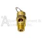 SAFETY VALVE SOFT SEAT 1/4MPT x 65 PSI