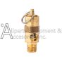 SV-S-1/8X150 valve safety with pull ring