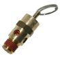 VALVE SAFETY 200 PSI 1/4 MPT