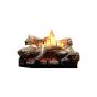The VFD series Empire fireplace and decorative log set, shown in operation.