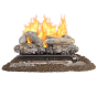 VFL2 SERIES DUAL FUEL VENT FREE GAS LOG SET FIREPLACE