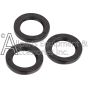 Set of three oil seals for a pressure washer pump