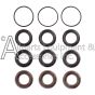 Twelve piece seal packing kit for a pressure washer pump
