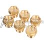 ZX0166 brass cap kit with o-rings