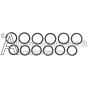 12 O-rings included with the ZX0852 kit