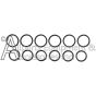ZX1093 set of twelve o-rings