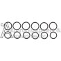 General Pump Kit-1 Valve Replacement Kit with O-rings