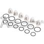 ZX1918 valve and o-ring kit