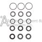 ZX1919 seal packing kit