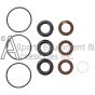 ZX1987 seal packing kit for EZ44 pumps