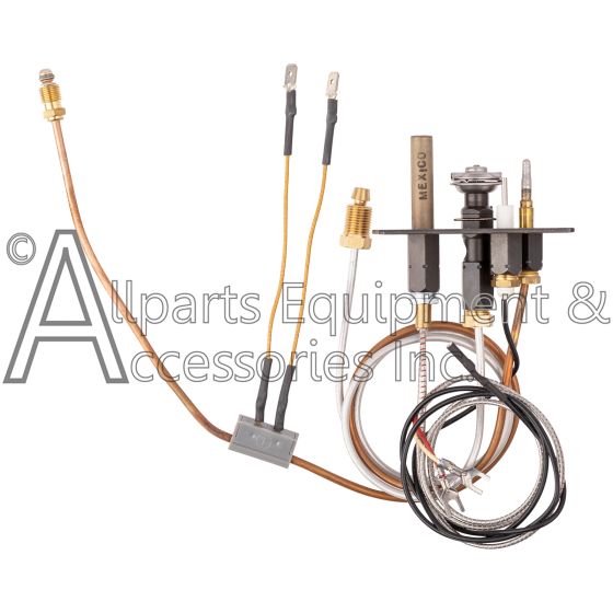 0199704 pilot assembly