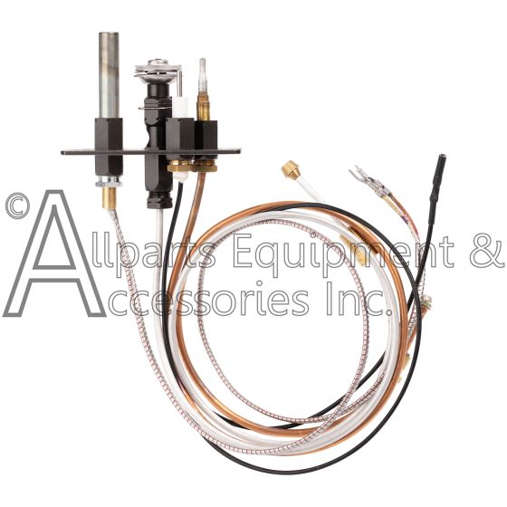 0199769 tri-flame pilot assembly