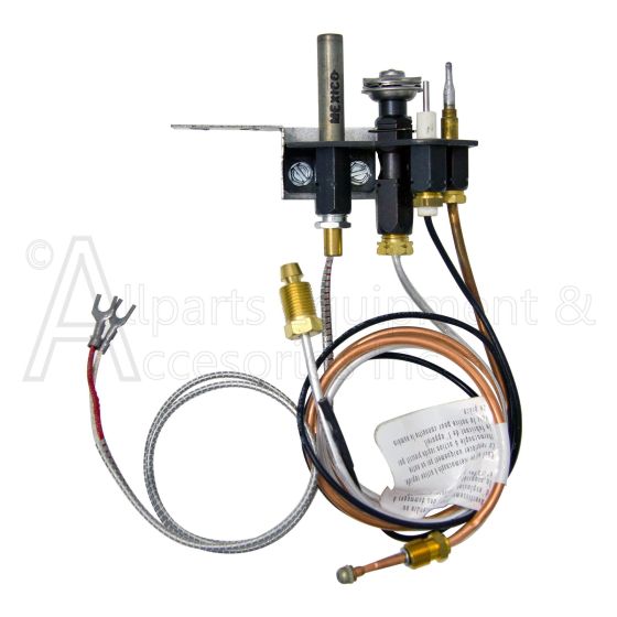 14381 Pilot Assembly Natural Gas NG DVF30