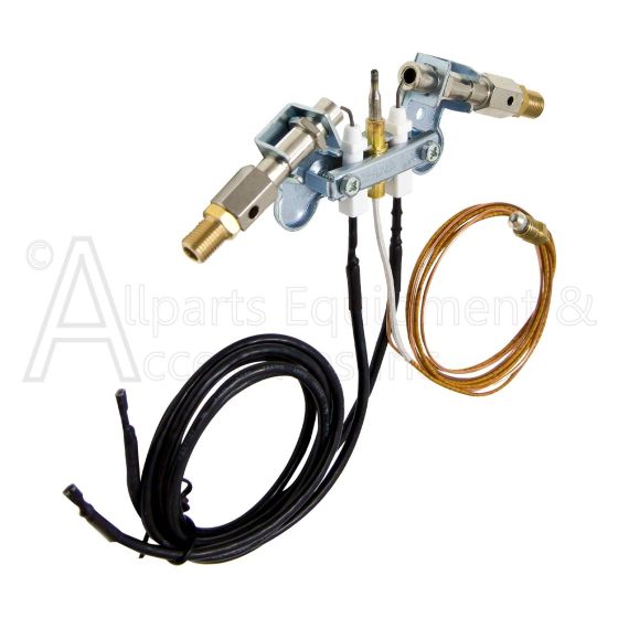 161139-02 Pilot ODS Dual Fuel Assembly with Ignition Lead and Thermocouple