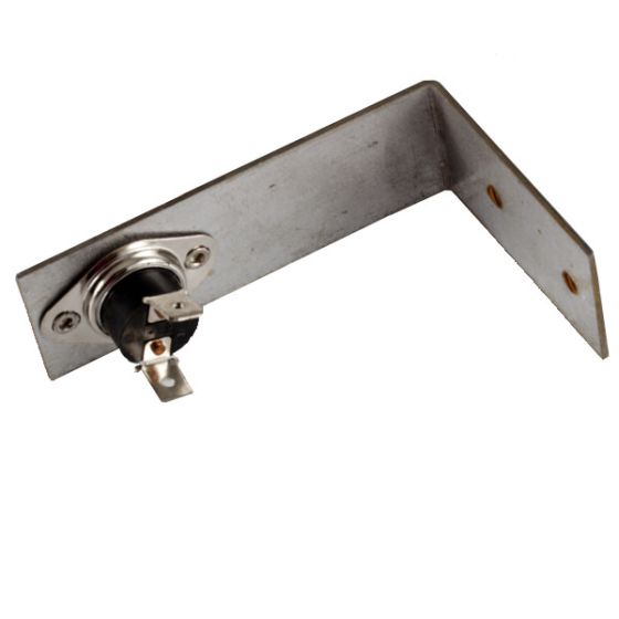 High limit control switch
