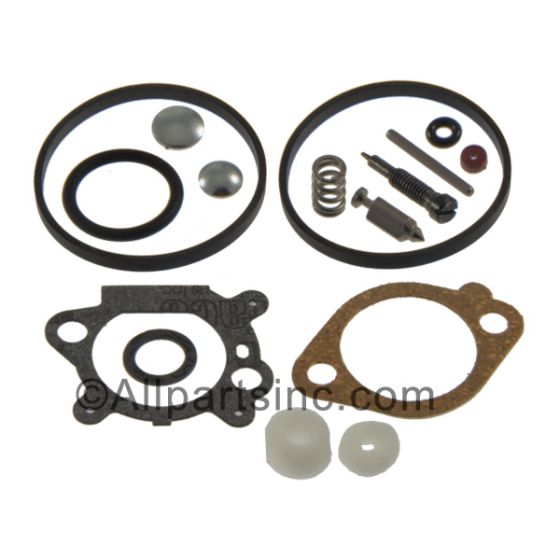 Carburetor Overhaul and Rebuild Kit Briggs and Stratton