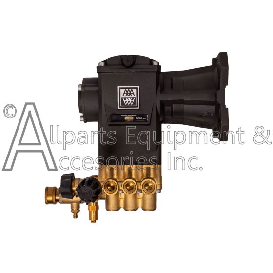 10.0GA13 PUMP KIT 3800 PSI 3.5 GPM AAA
