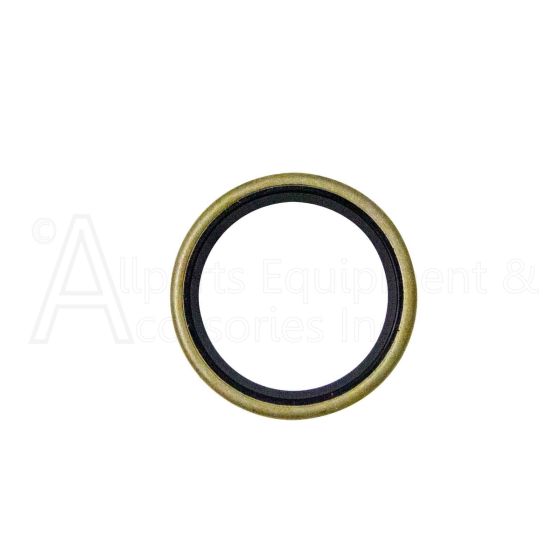Top view of oil seal