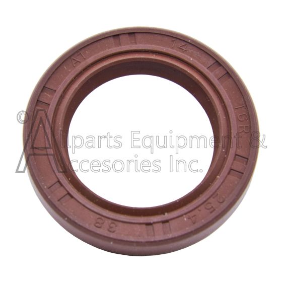 OIL SEAL 25.4 x 38 x 7 DuCar Engine