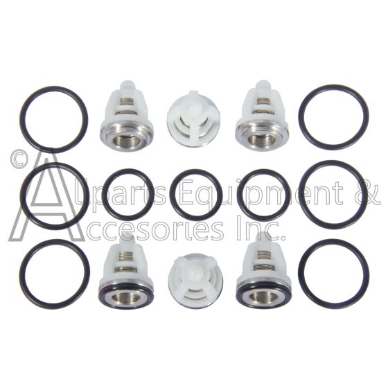 Valve Repair Kit AAA ZWD-K Pump by Comet Set of 6 Complete Valves
