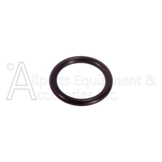 O-RING FOR VALVE PLUG, LT (XJ20008)