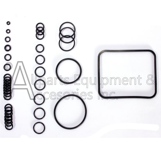 O-ring kit for C31 pump