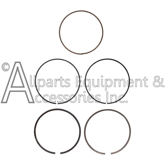 7119361 piston ring set