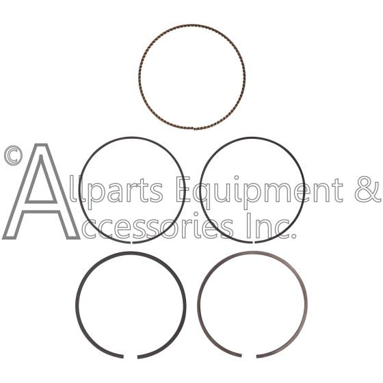 7119456 piston ring set