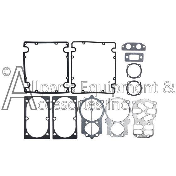 The gaskets included in the ABP-5950057 gasket kit.
