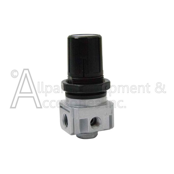AC-0007 REGULATOR 4 PORT P1 x 1/4  P2 x 1/8 front view