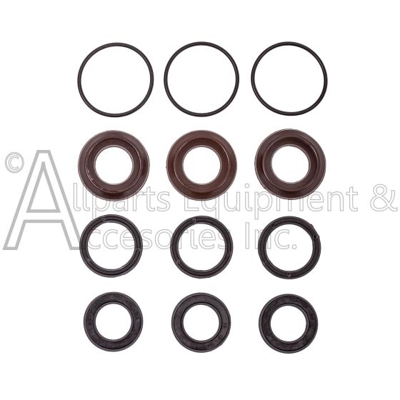 The ZX.0097 Dolly A1857 seal kit with packing and o-rings.
