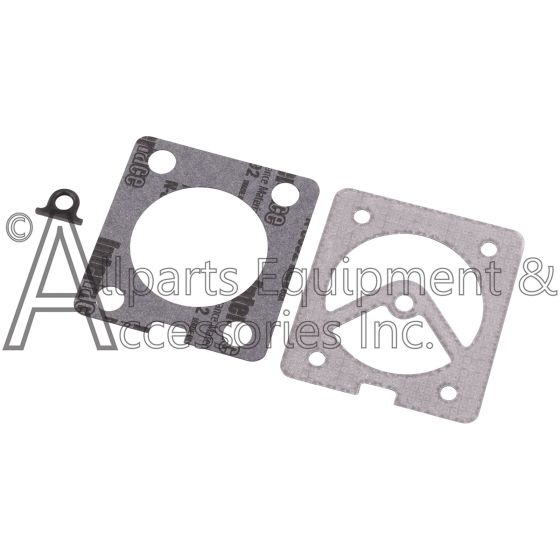 D30139 graphite gasket kit
