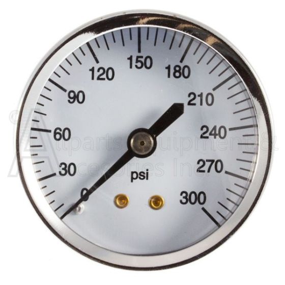 Pressure gauge Liquid Filled 300 PSI Center Back 1/4" NPT Male 2.5" FACE