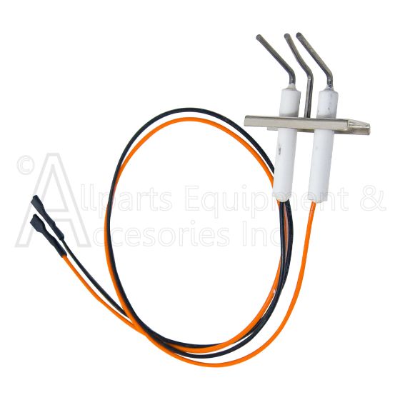 J6548 Astria Igniter and Flame Rod Assembly