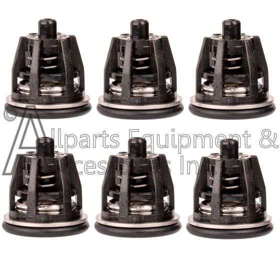 KIT1 set of six valves in a pressure washer valve replacement kit