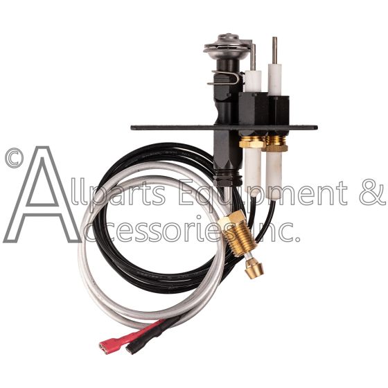 W010-1866 SIT pilot assembly for Napoleon units