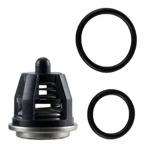 The ZX.1311 Dolly valves and O-Ring kit.