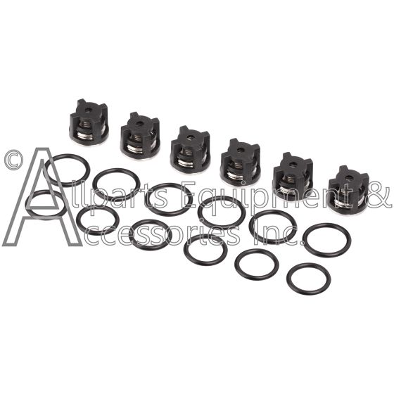 ZX0685 AR valve and o-ring kit