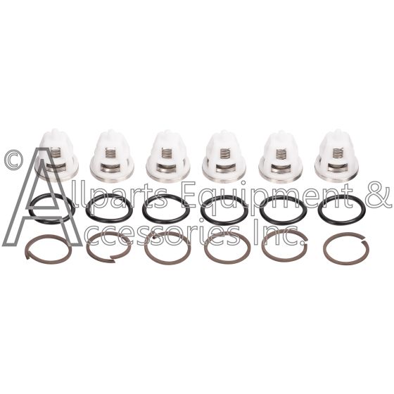 ZX0814 valve and o-ring kit