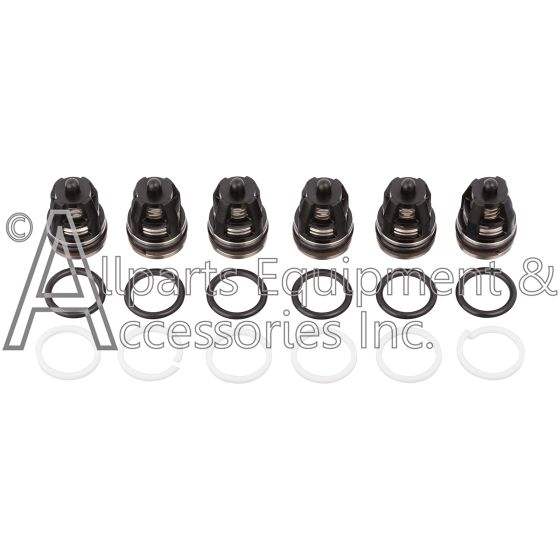 ZX0824 valve and o-ring kit