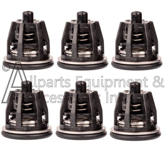 Set of 6 black  ZX.1600 pump valves