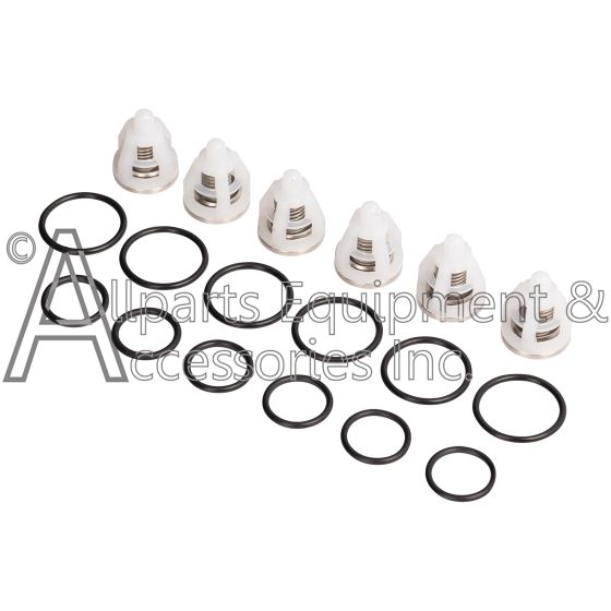 ZX1918 valve and o-ring kit